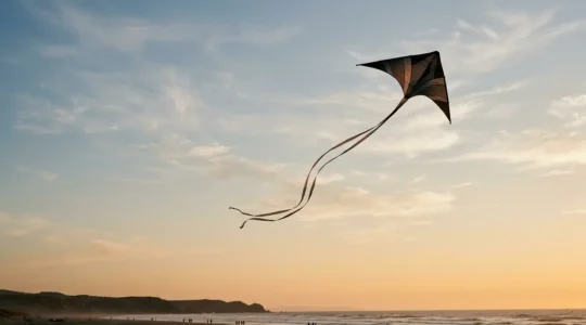 Cerf-volant artistique en vol formant des mouvements narratifs dans le ciel au coucher du soleil