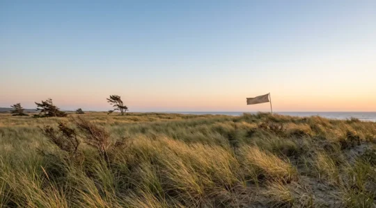 Observateur analysant les signes visuels du vent dans un paysage naturel ouvert