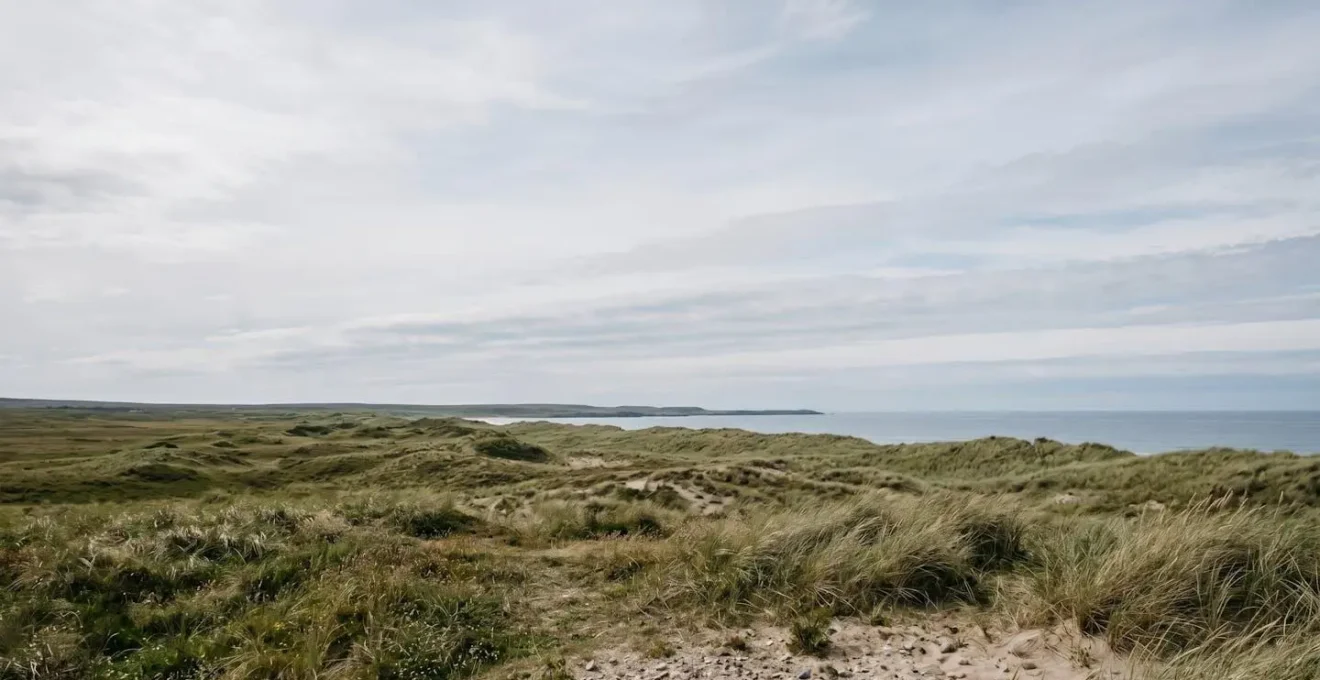 Vaste paysage naturel minimaliste avec horizon dégagé offrant une perspective apaisante