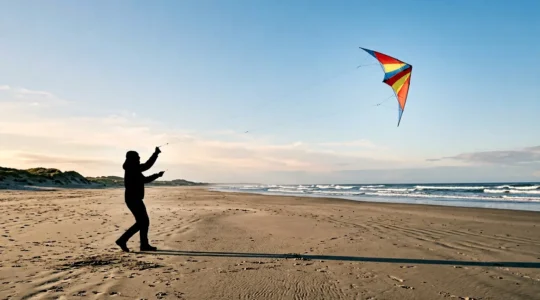 Pilote faisant voler un cerf-volant acrobatique deux lignes lors d'une journée venteuse en bord de mer