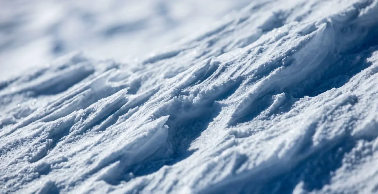 Gros plan sur les formations de sastrugi sculptées par le vent sur la neige révélant la direction du vent